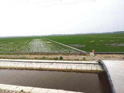 1706407528288151.jpg d5bede6c77bbcb458d3a9d4b7777fab.jpg